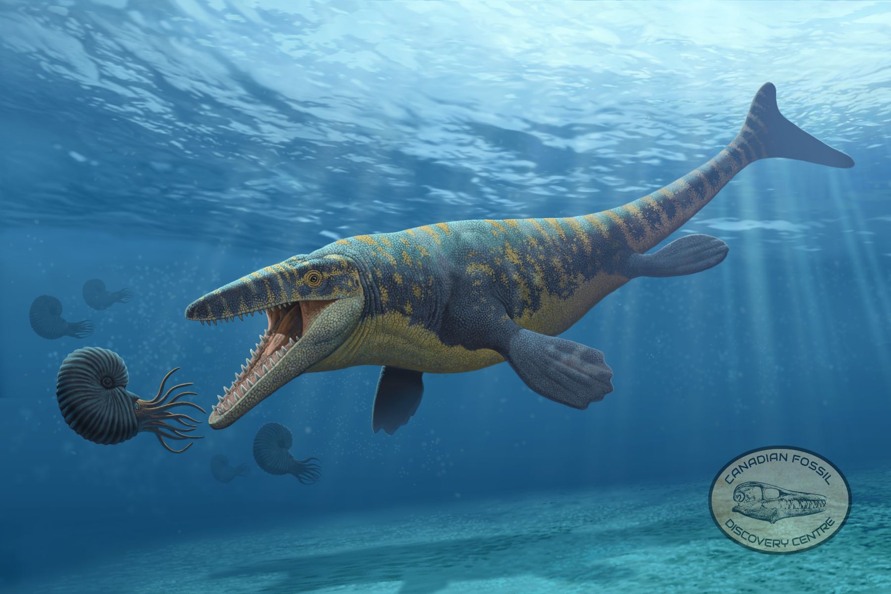 CFDC Mosasaur